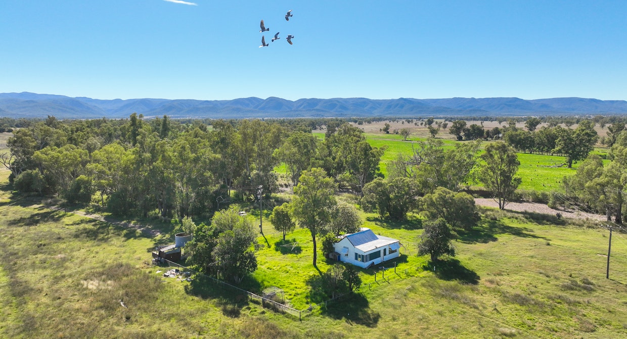 340 Black Mountain Creek Road, Boggabri, NSW, 2382 - Image 7