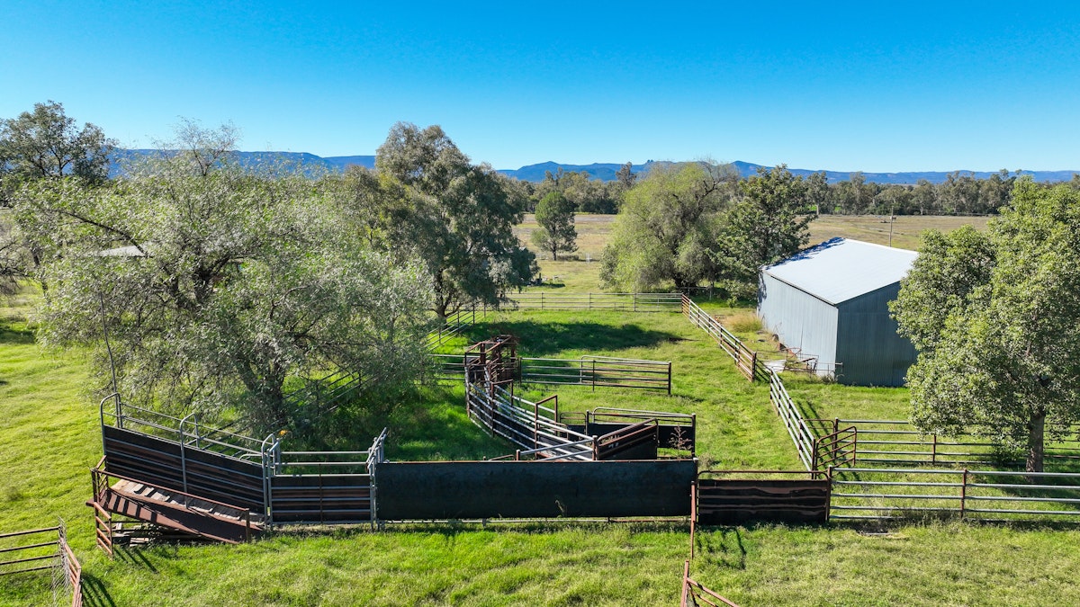 340 Black Mountain Creek Road, Boggabri, NSW, 2382 - Image 4