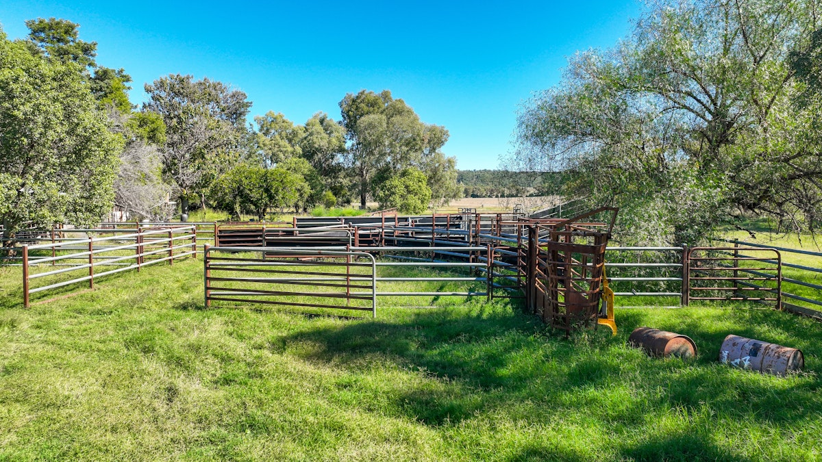 340 Black Mountain Creek Road, Boggabri, NSW, 2382 - Image 5