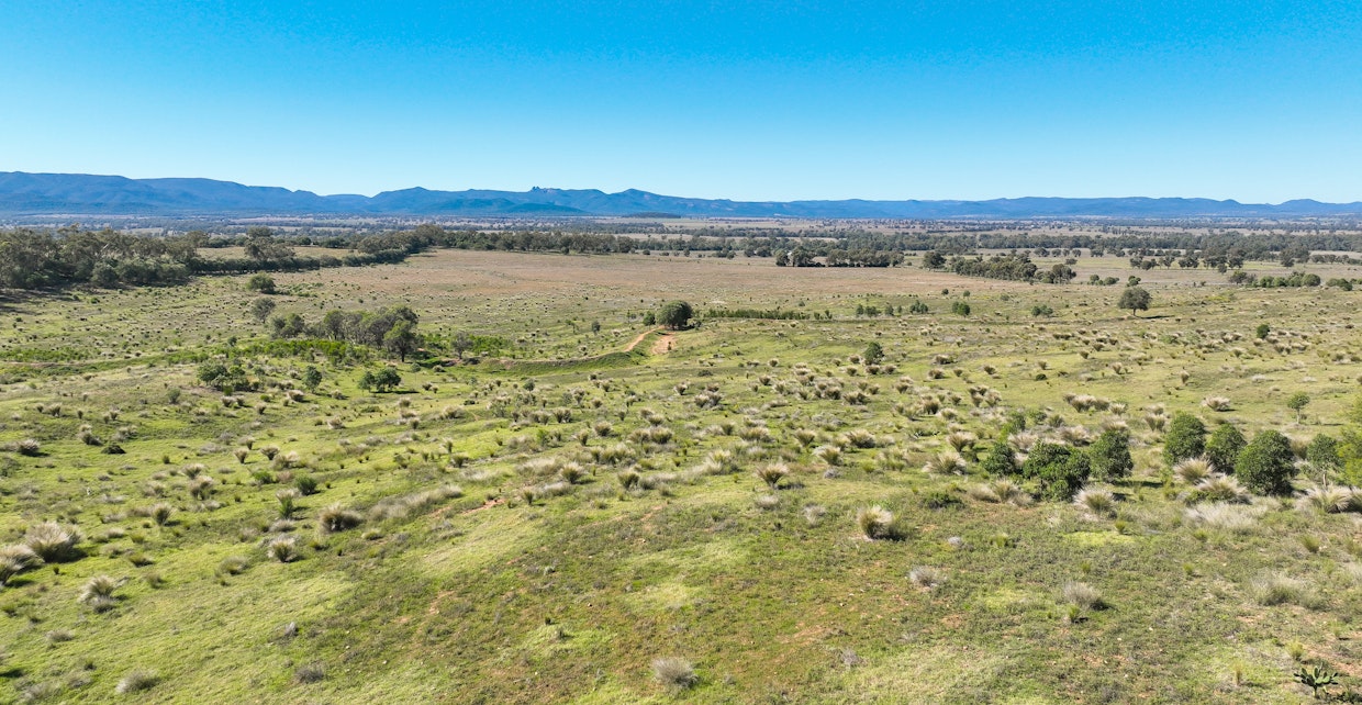 340 Black Mountain Creek Road, Boggabri, NSW, 2382 - Image 15