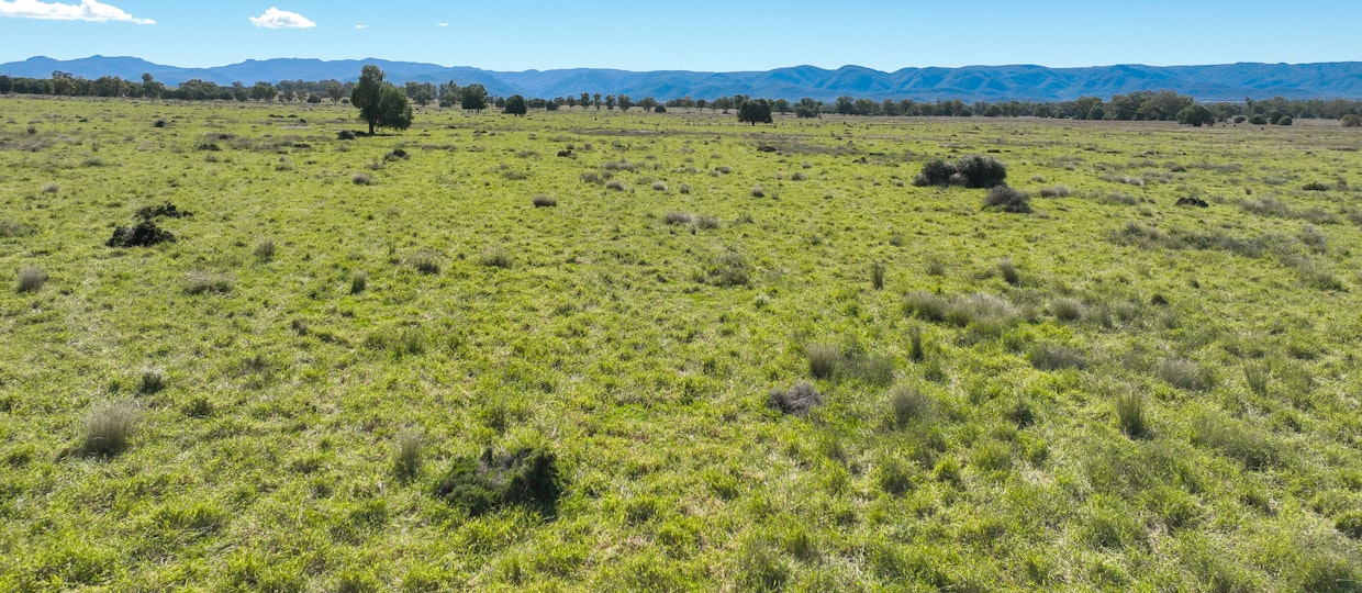 340 Black Mountain Creek Road, Boggabri, NSW, 2382 - Image 18