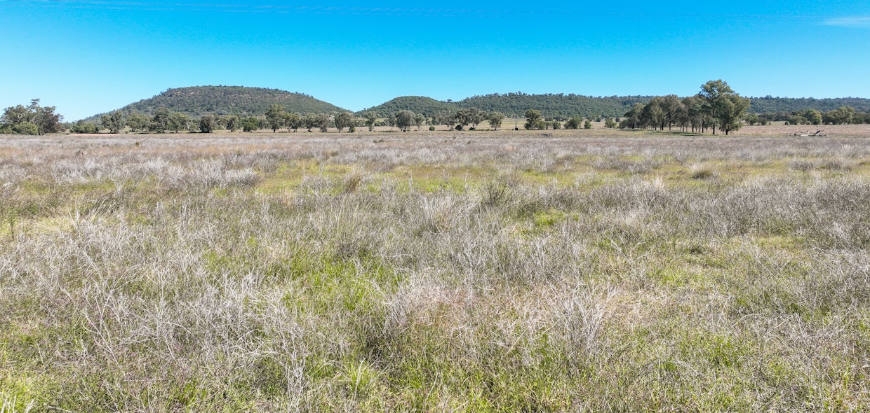 340 Black Mountain Creek Road, Boggabri, NSW, 2382 - Image 20