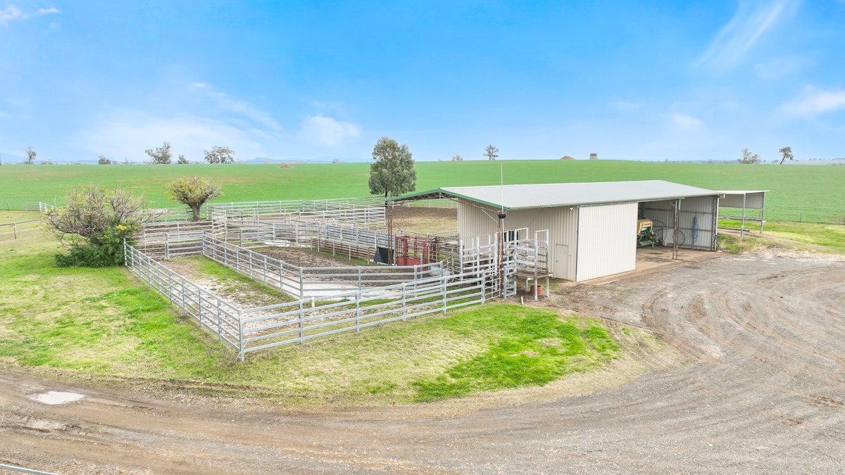 4170 Oxley Highway, Tamworth, NSW, 2340 - Image 12