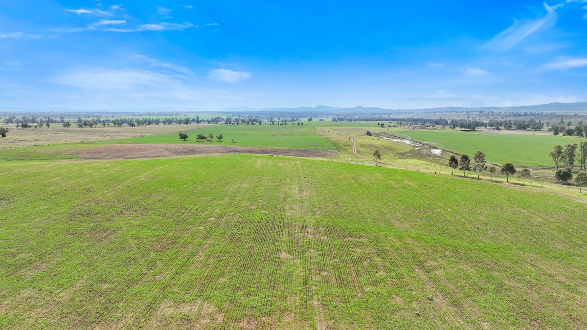 4170 Oxley Highway, Tamworth, NSW, 2340 - Image 17