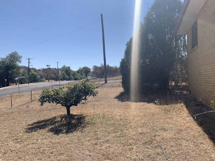 17 Monteray Street, Tamworth, NSW, 2340 - Image 11