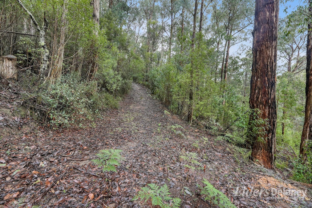 134 Duggan North Road, Fumina, VIC, 3825 - Image 12