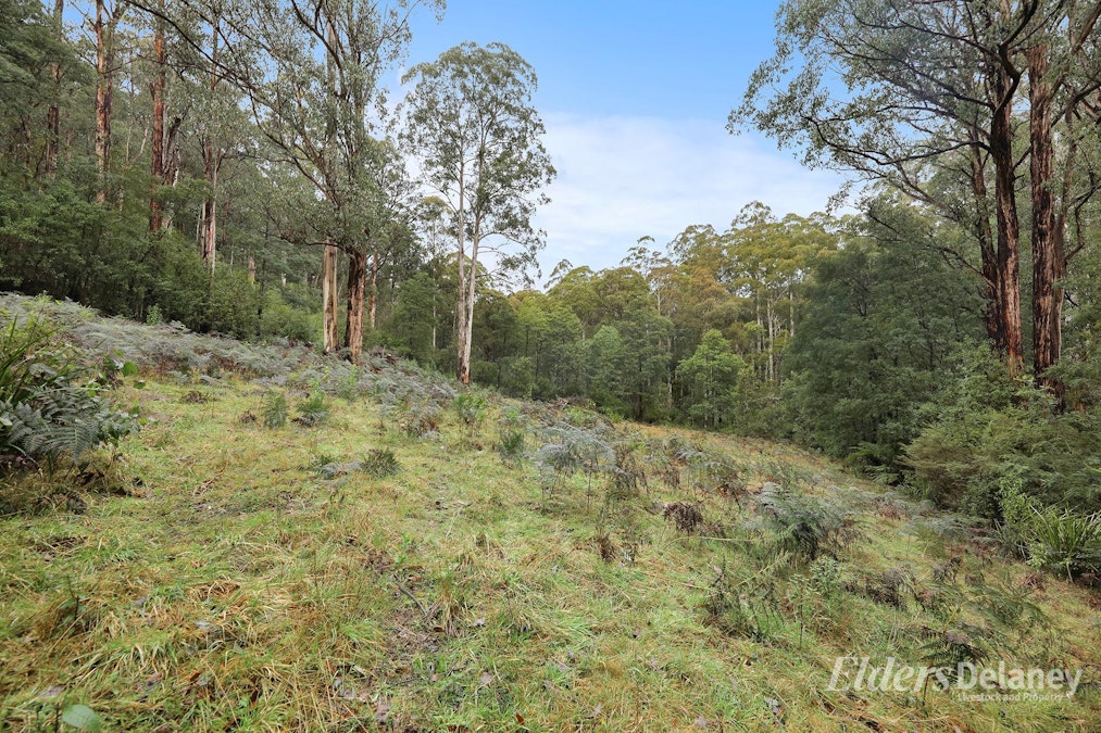 134 Duggan North Road, Fumina, VIC, 3825 - Image 23