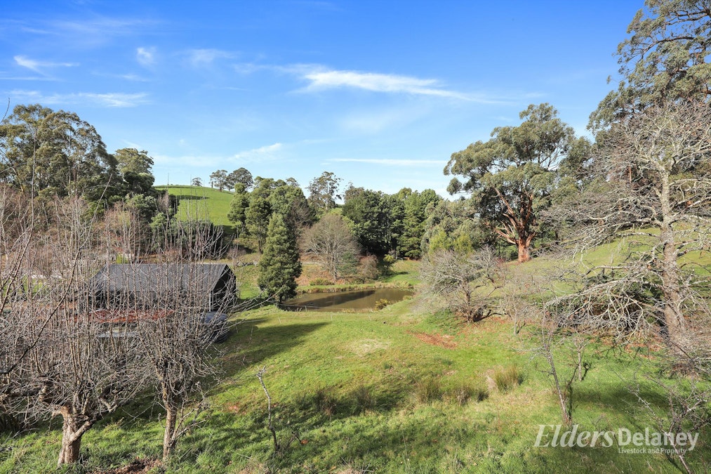 365 Sheffield Road, Neerim South, VIC, 3831 - Image 13