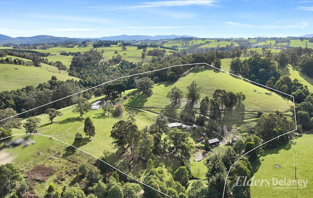 365 Sheffield Road, Neerim South, VIC, 3831 - Image 1