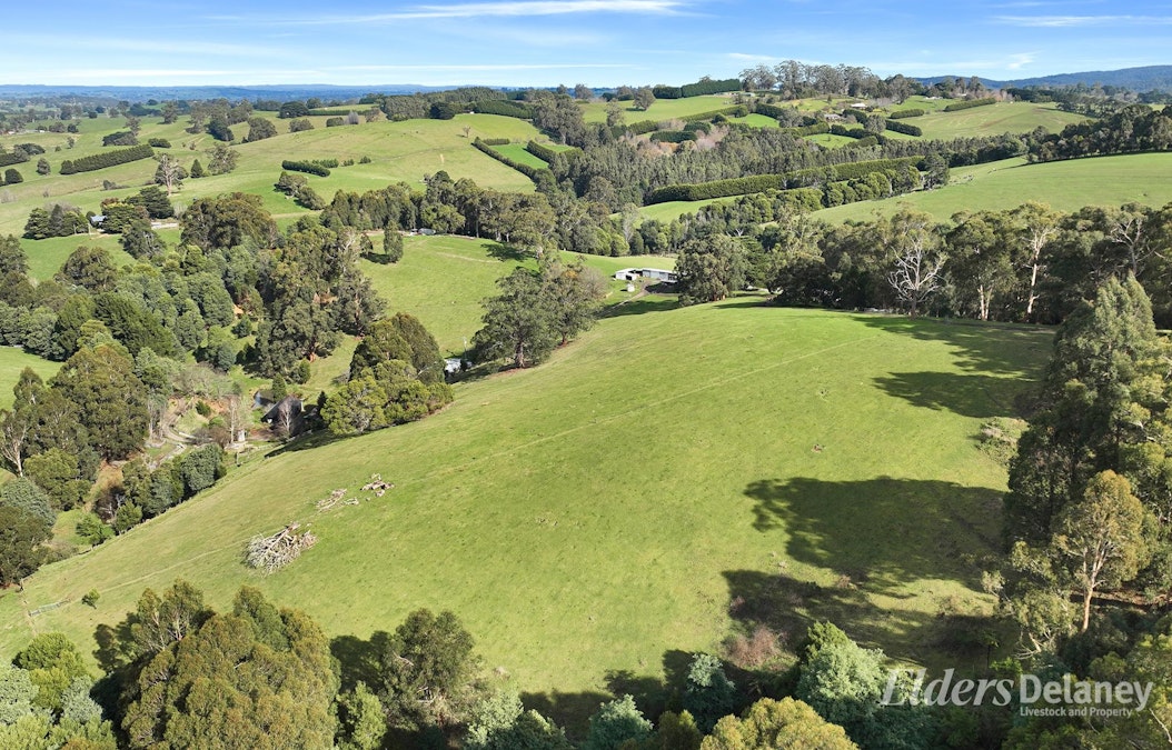 365 Sheffield Road, Neerim South, VIC, 3831 - Image 17