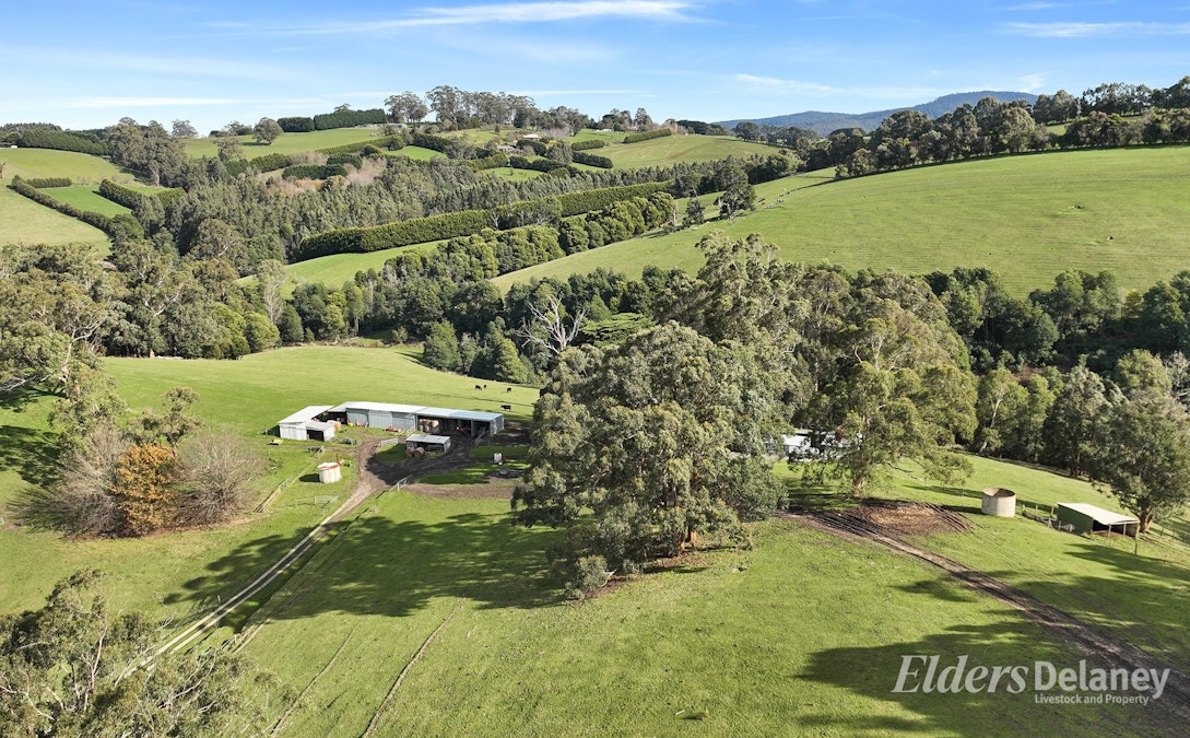 365 Sheffield Road, Neerim South, VIC, 3831 - Image 22