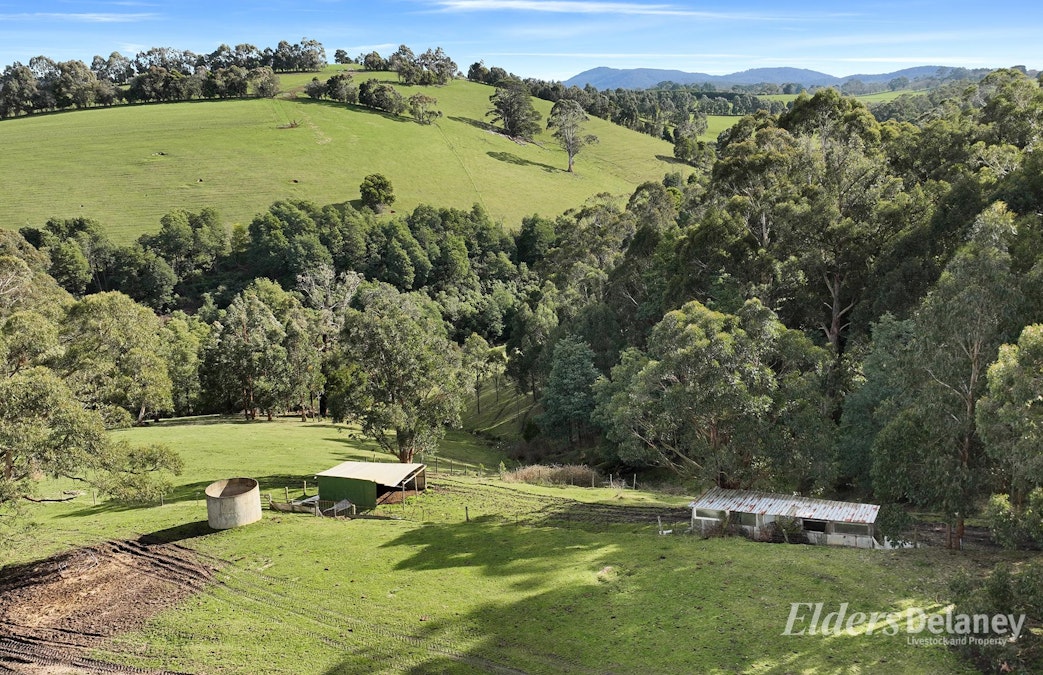 365 Sheffield Road, Neerim South, VIC, 3831 - Image 23