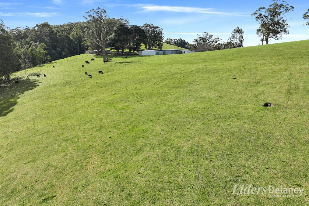 365 Sheffield Road, Neerim South, VIC, 3831 - Image 28