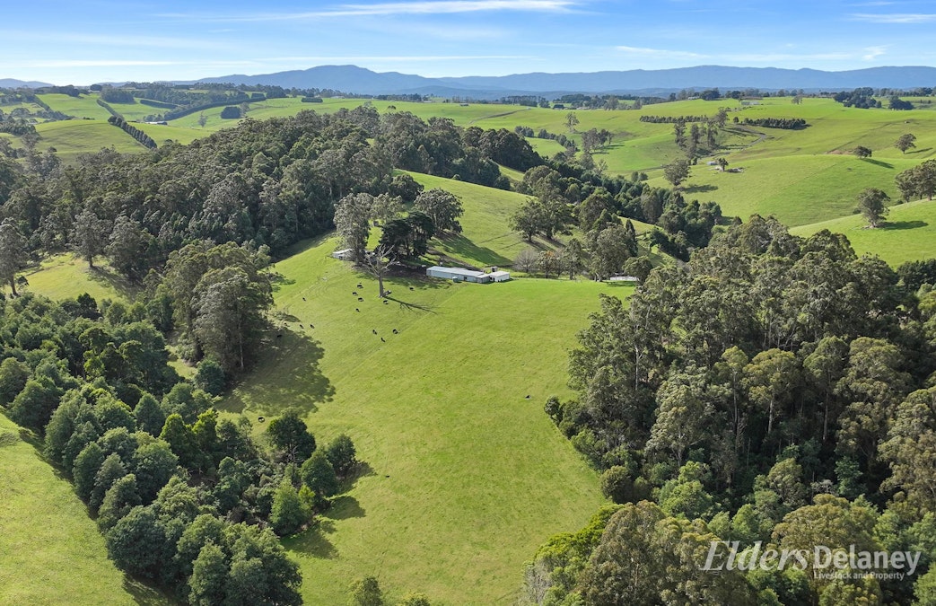 365 Sheffield Road, Neerim South, VIC, 3831 - Image 29