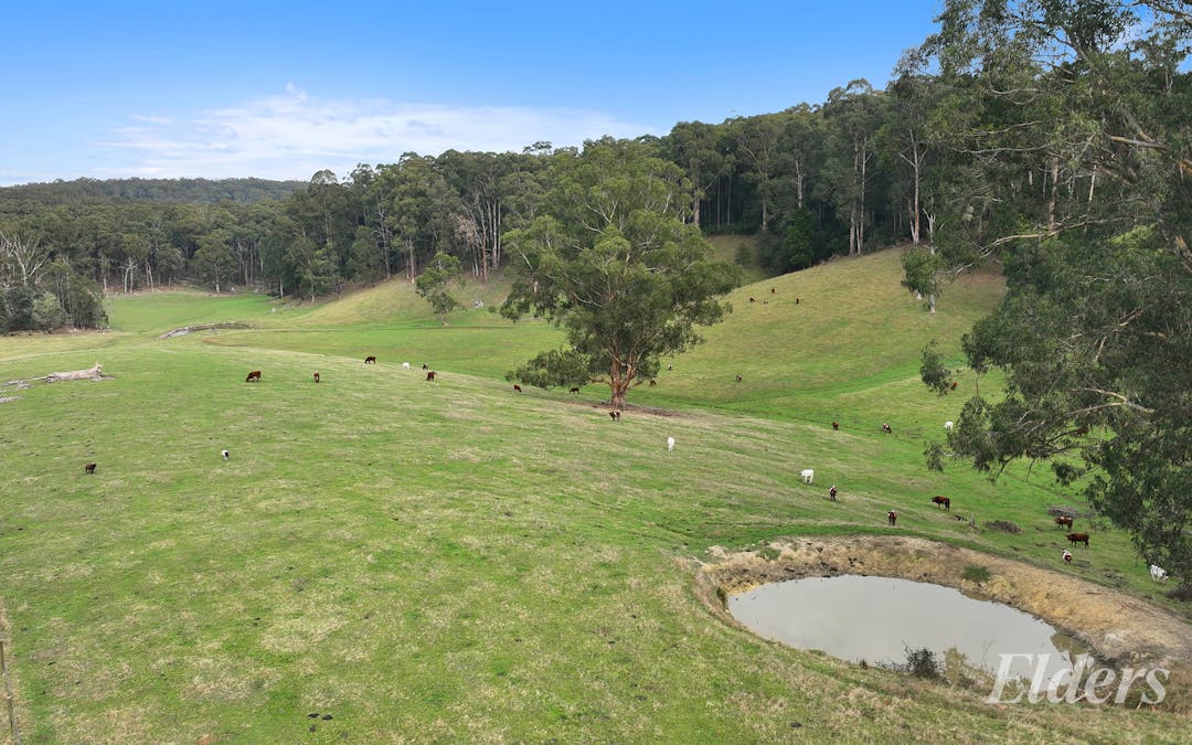 20 Bridge Road, Crossover, VIC, 3821 - Image 5