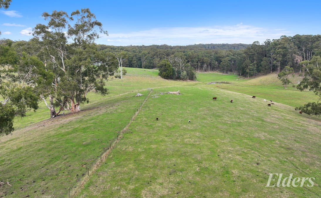 20 Bridge Road, Crossover, VIC, 3821 - Image 13