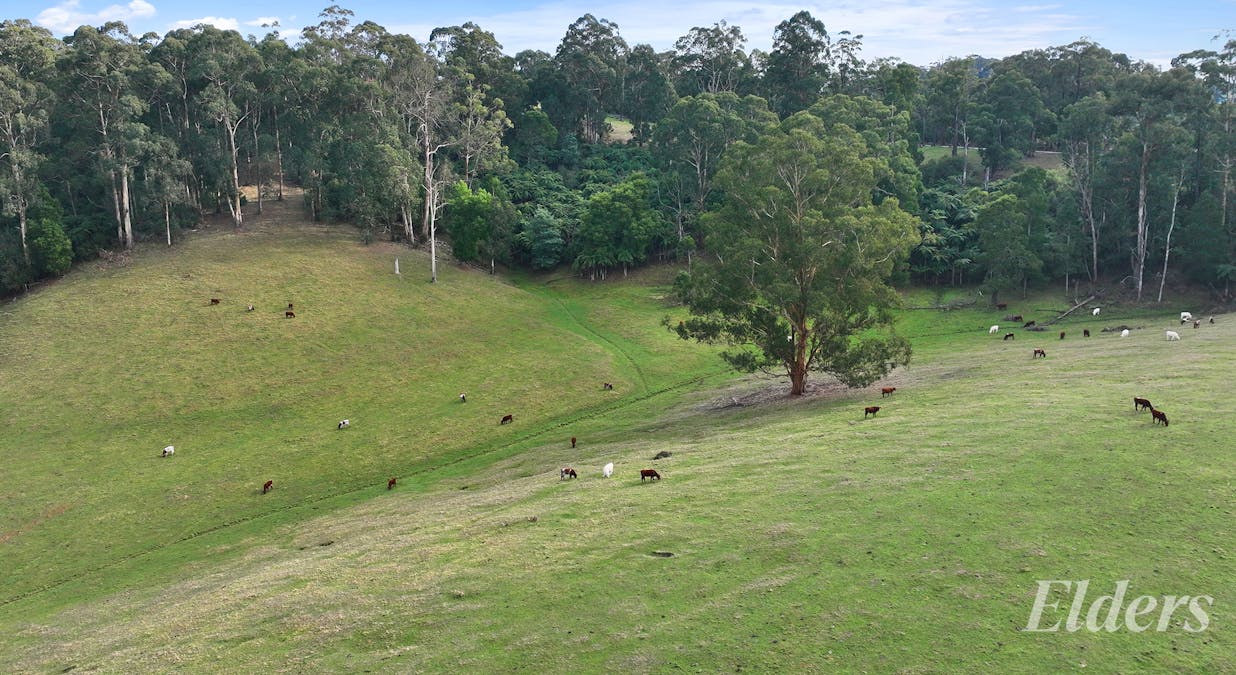 20 Bridge Road, Crossover, VIC, 3821 - Image 9