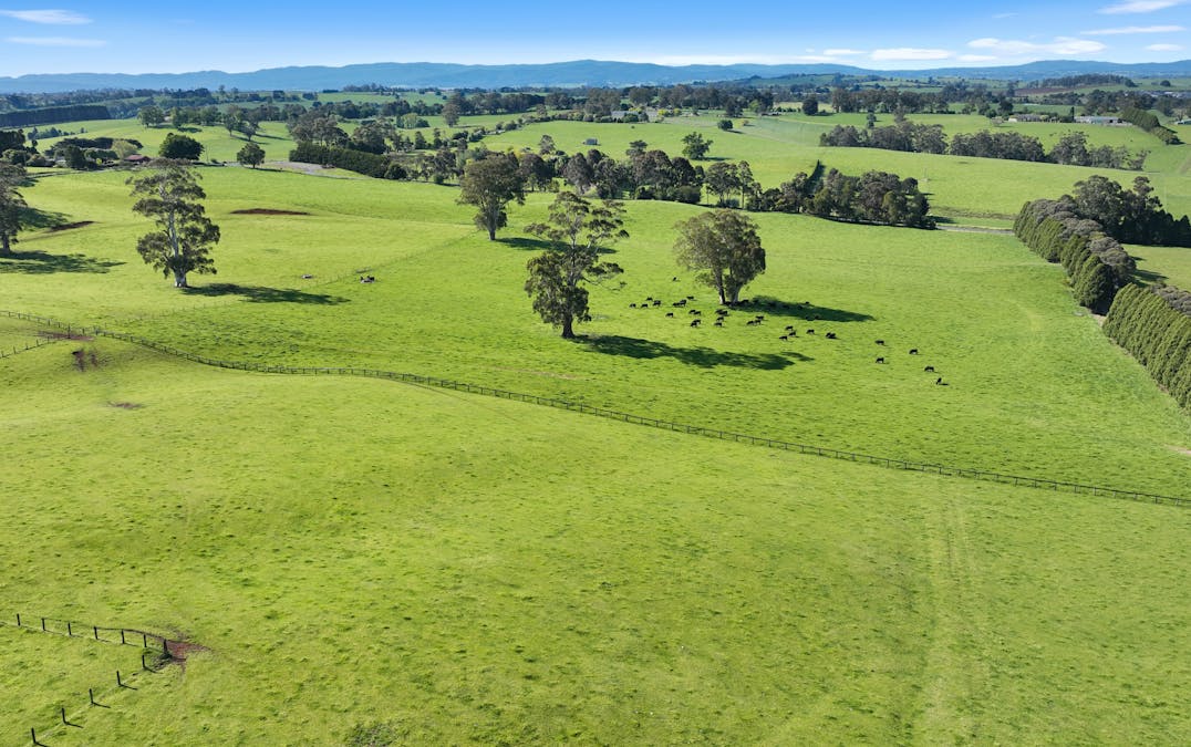 Address upon request - Image 31