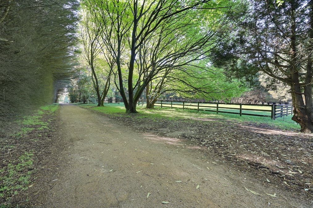 Address upon request - Image 25