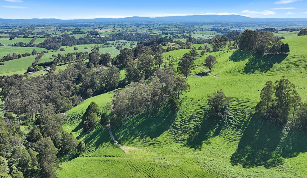 196 Peters Road, Ellinbank, VIC, 3821 - Image 16