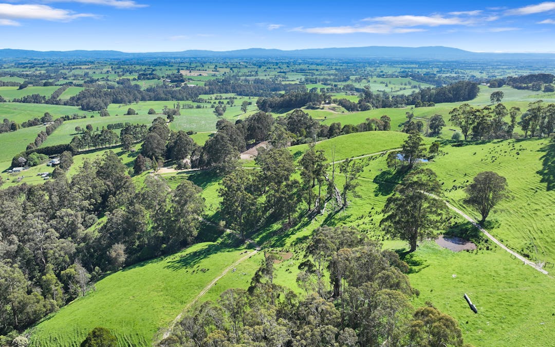 196 Peters Road, Ellinbank, VIC, 3821 - Image 13