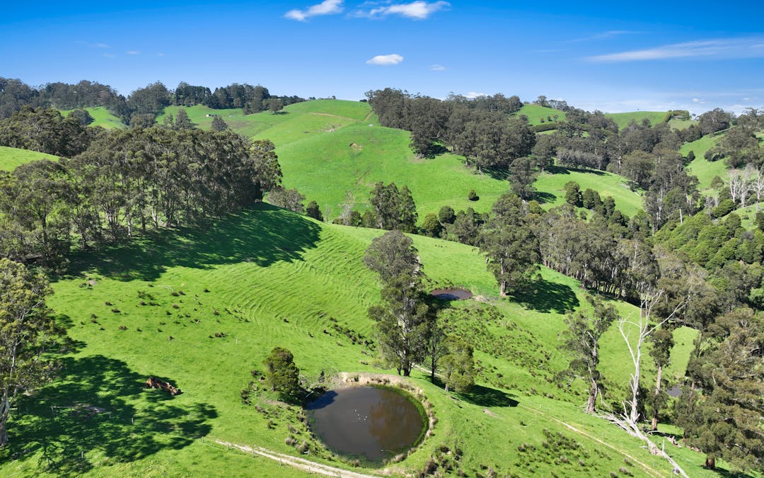 196 Peters Road, Ellinbank, VIC, 3821 - Image 21