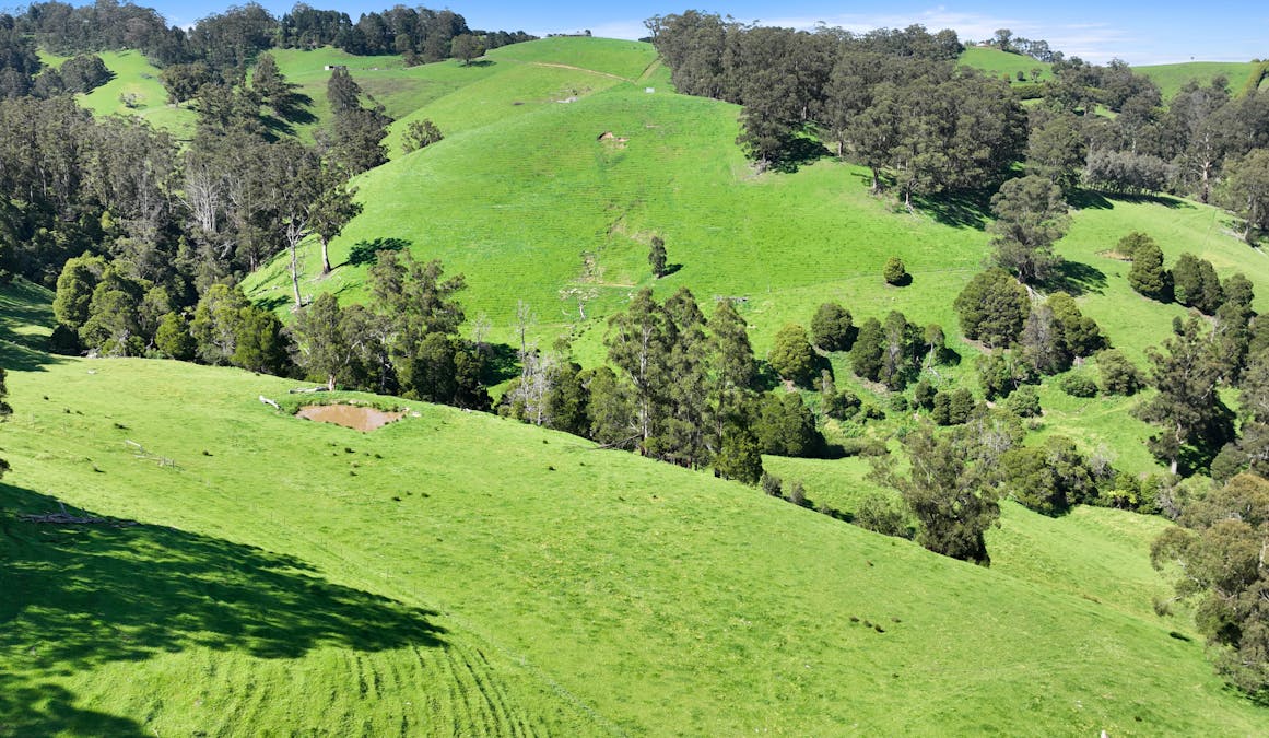 196 Peters Road, Ellinbank, VIC, 3821 - Image 22