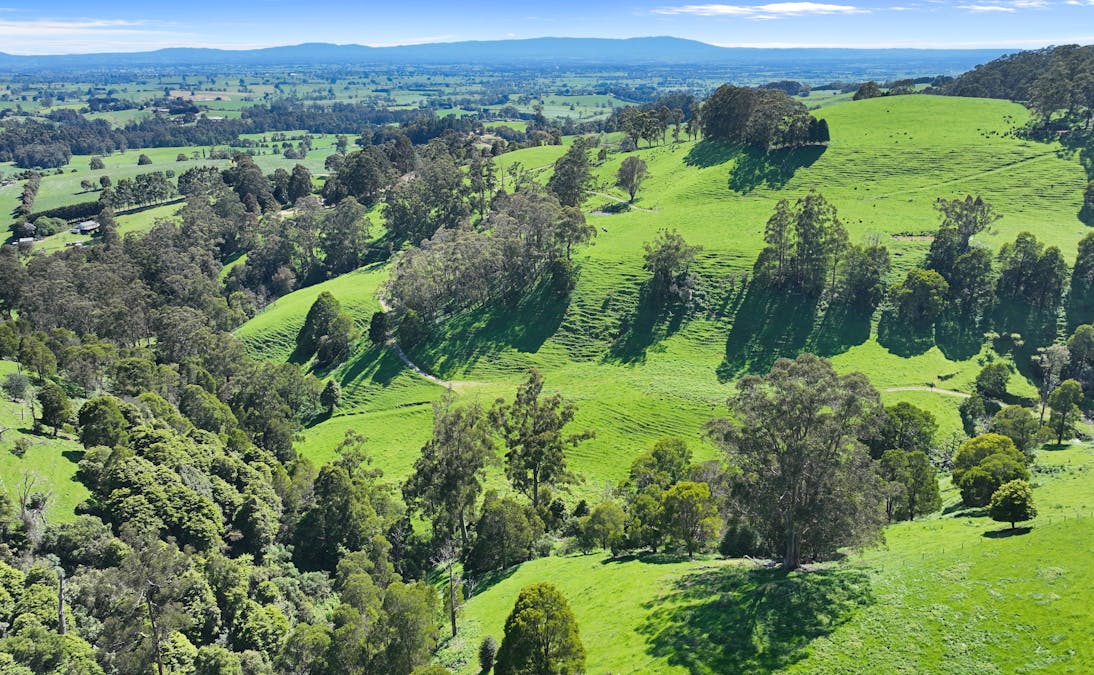 196 Peters Road, Ellinbank, VIC, 3821 - Image 23