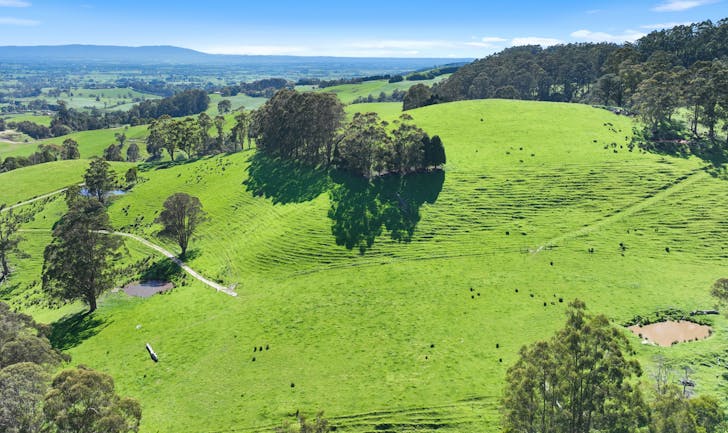 196 Peters Road, Ellinbank, VIC, 3821 - Image 1