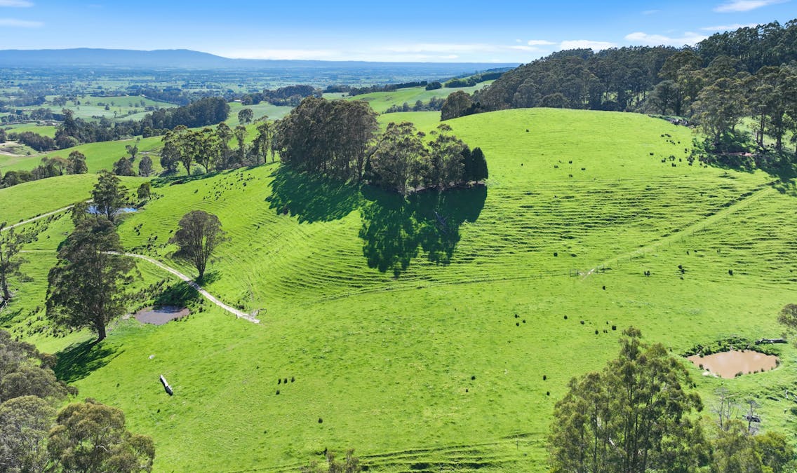 196 Peters Road, Ellinbank, VIC, 3821 - Image 1