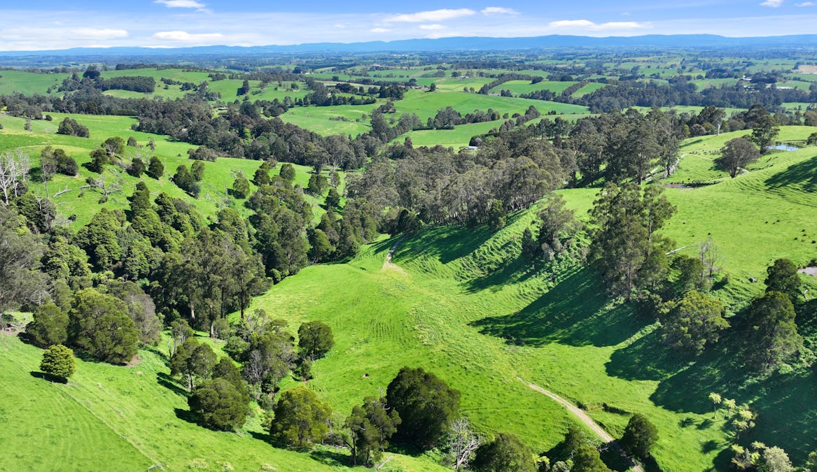 196 Peters Road, Ellinbank, VIC, 3821 - Image 24