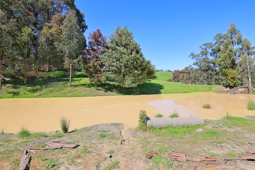 196 Peters Road, Ellinbank, VIC, 3821 - Image 20