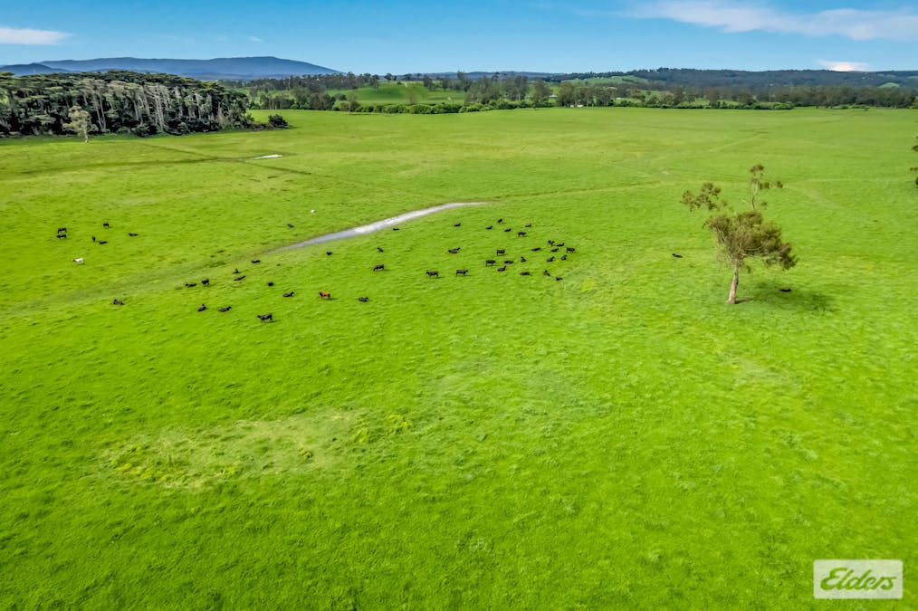 120 Moe-Walhalla Road, Moe, VIC, 3825 - Image 7