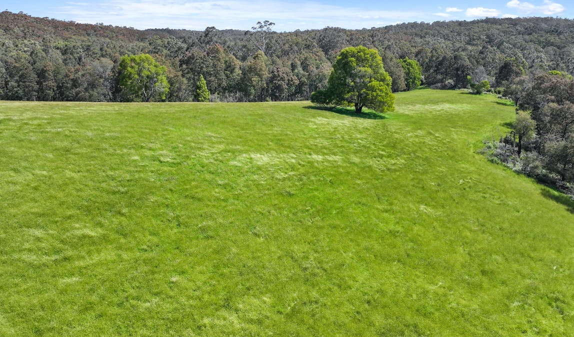 470 Mcdougal Road, Neerim South, VIC, 3831 - Image 6