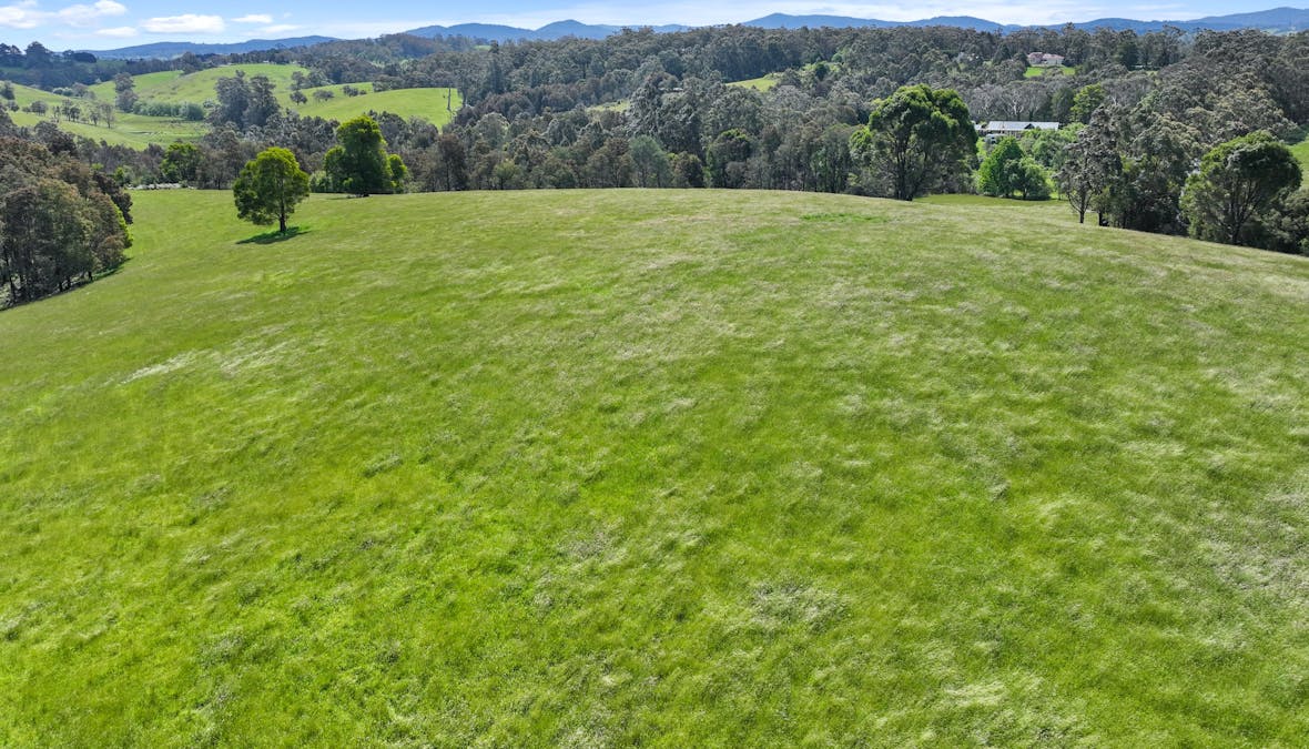 470 Mcdougal Road, Neerim South, VIC, 3831 - Image 5