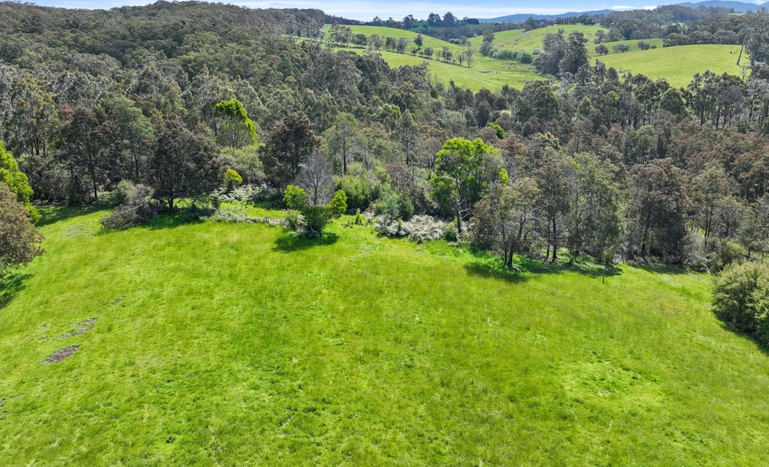 470 Mcdougal Road, Neerim South, VIC, 3831 - Image 9