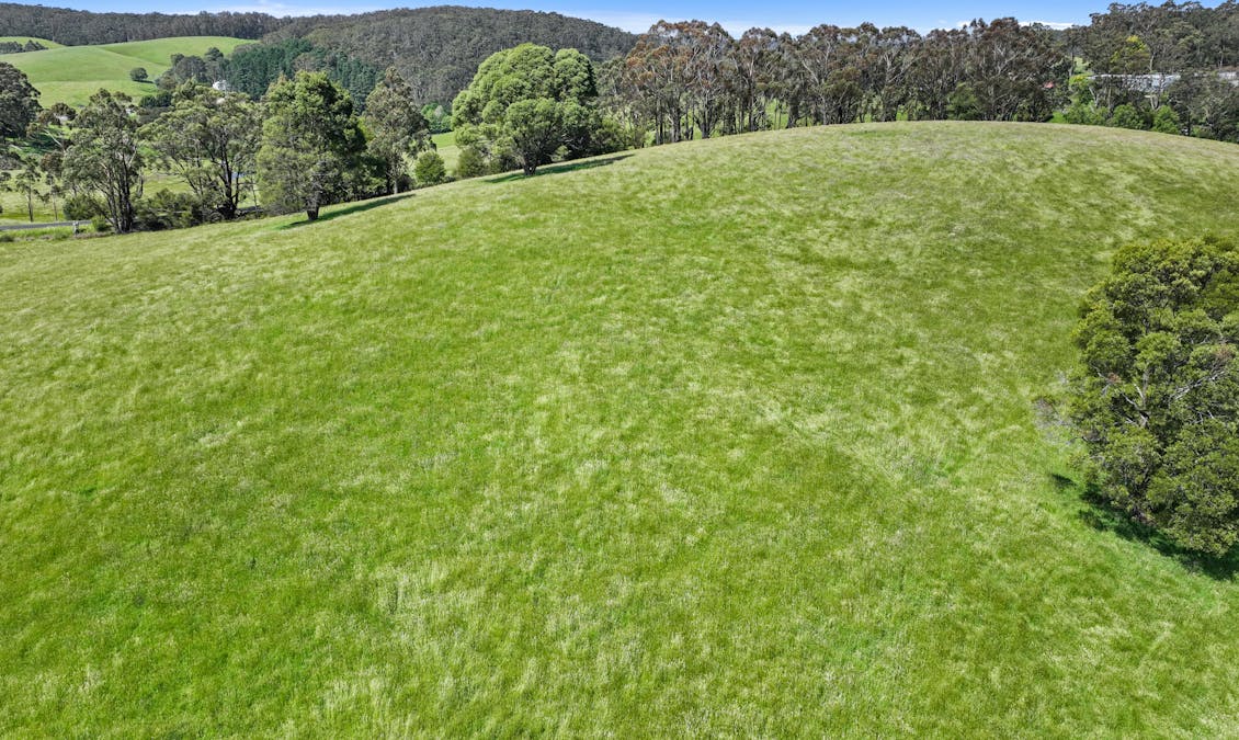 470 Mcdougal Road, Neerim South, VIC, 3831 - Image 8