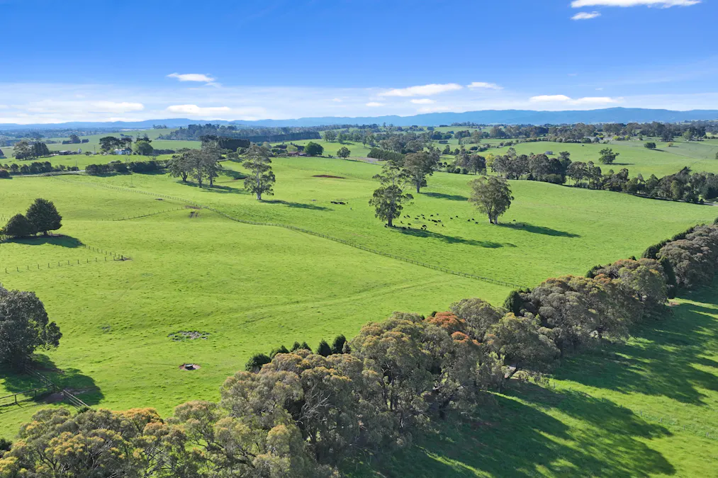 935 Lardners Track, Warragul, VIC, 3820 - Image 23