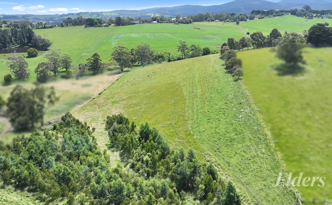 41 Sheffield Road, Neerim South, VIC, 3831 - Image 3