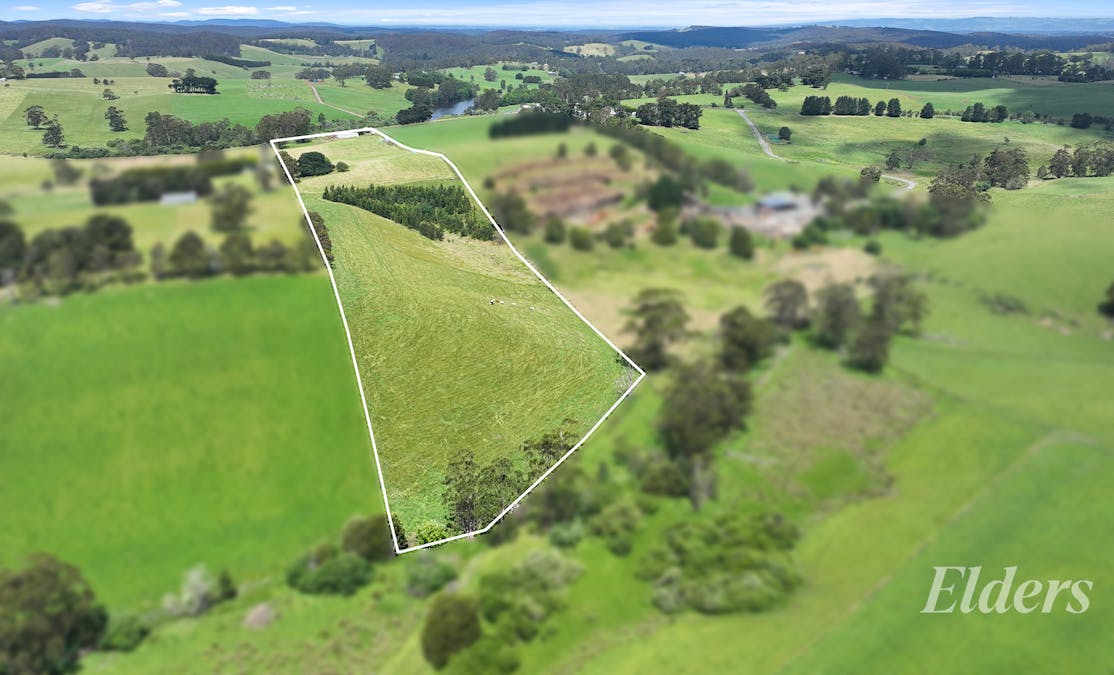 41 Sheffield Road, Neerim South, VIC, 3831 - Image 4