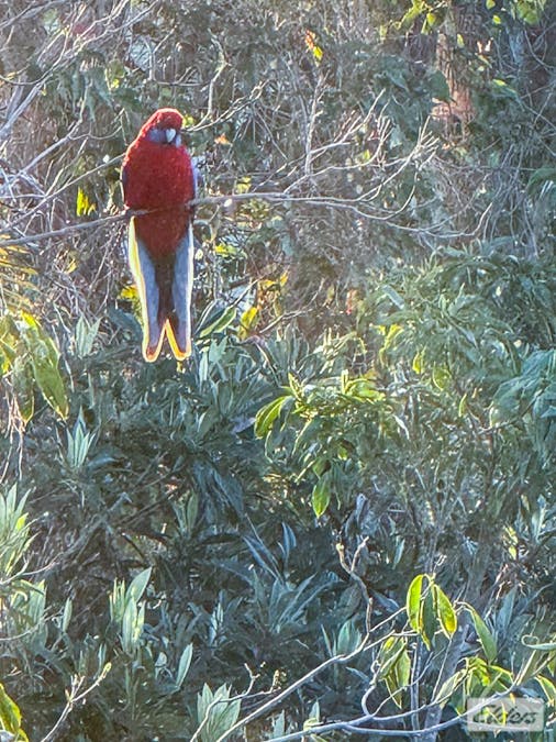 51-53 Seagull Drive, Loch Sport, VIC, 3851 - Image 23