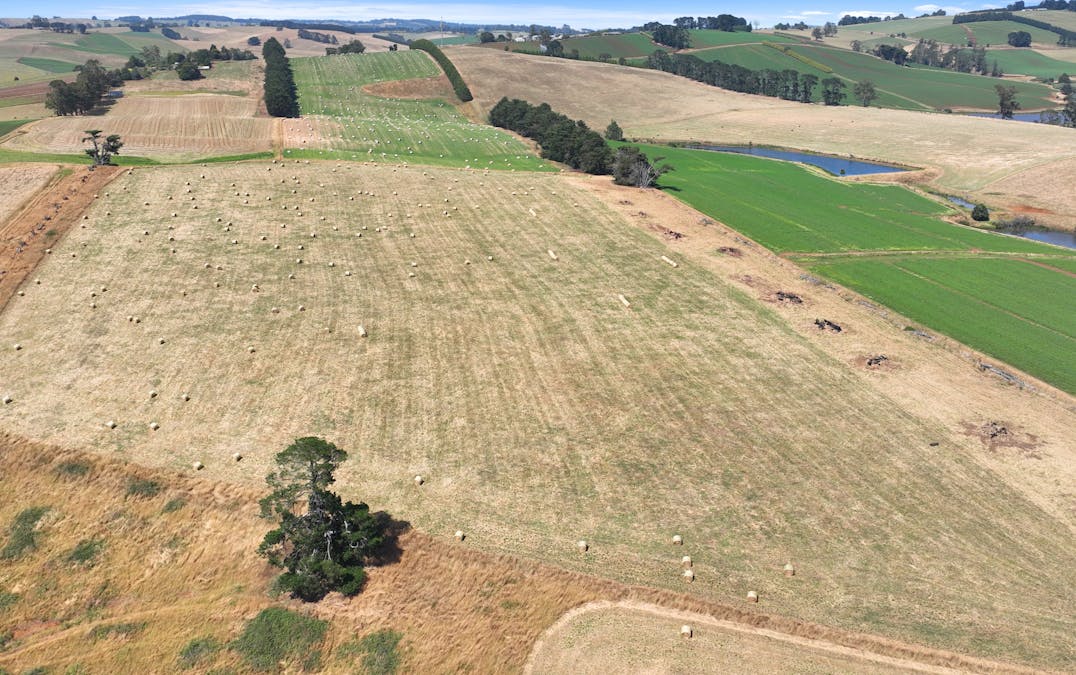 Lot 2/107 Cooks Road, Thorpdale, VIC, 3835 - Image 9