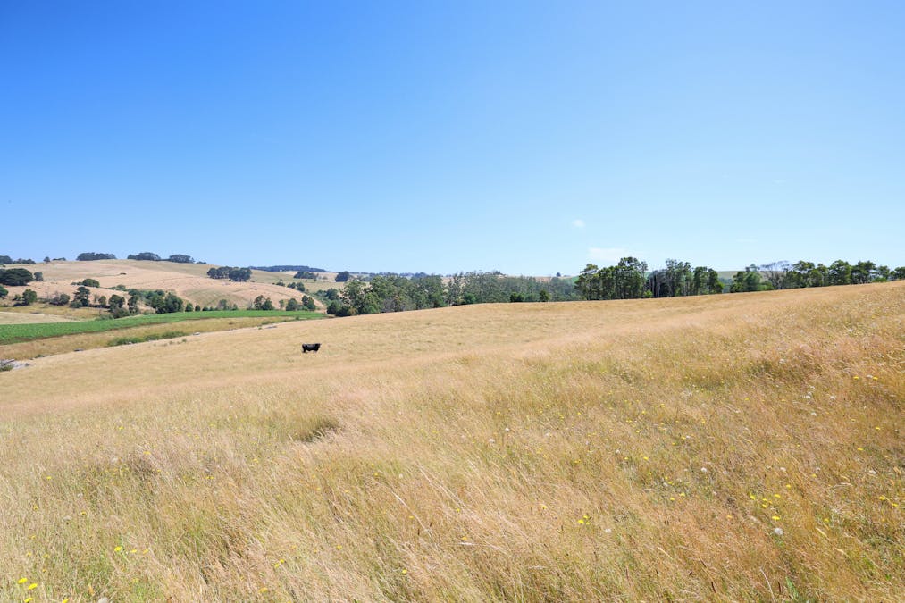 Lot 2/107 Cooks Road, Thorpdale, VIC, 3835 - Image 7