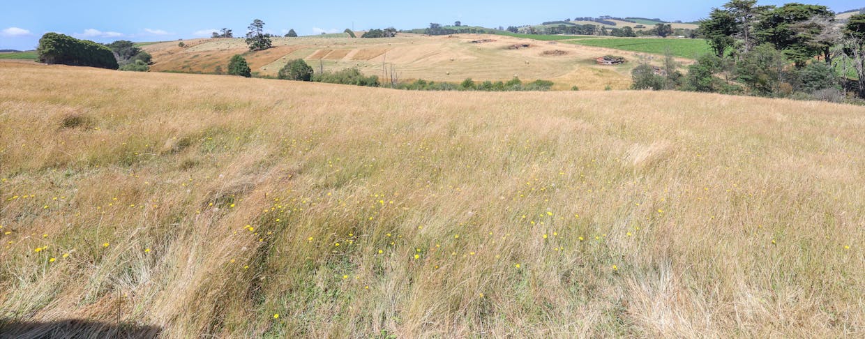 Lot 2/107 Cooks Road, Thorpdale, VIC, 3835 - Image 8