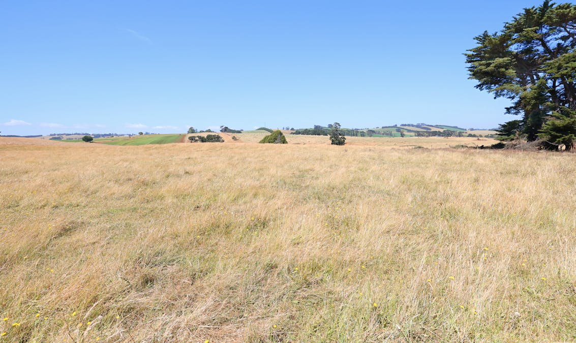 Lot 2/107 Cooks Road, Thorpdale, VIC, 3835 - Image 21