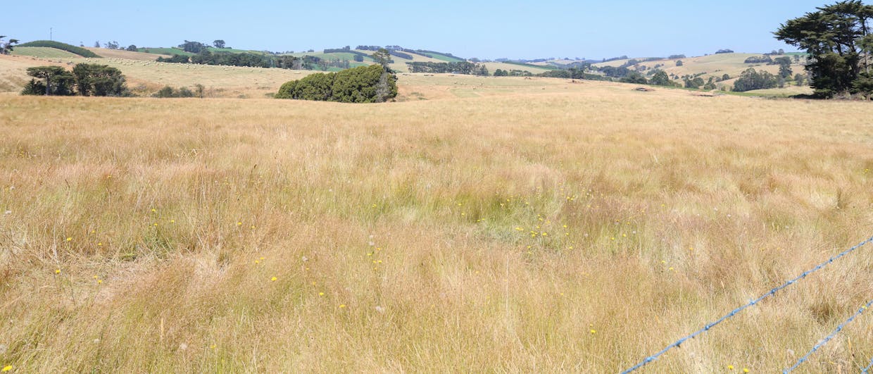 Lot 2/107 Cooks Road, Thorpdale, VIC, 3835 - Image 22