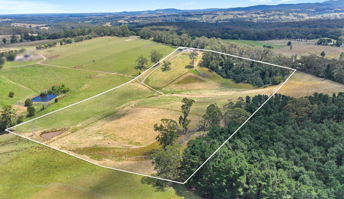 460 Old Telegraph Road, Crossover, VIC, 3821 - Image 1