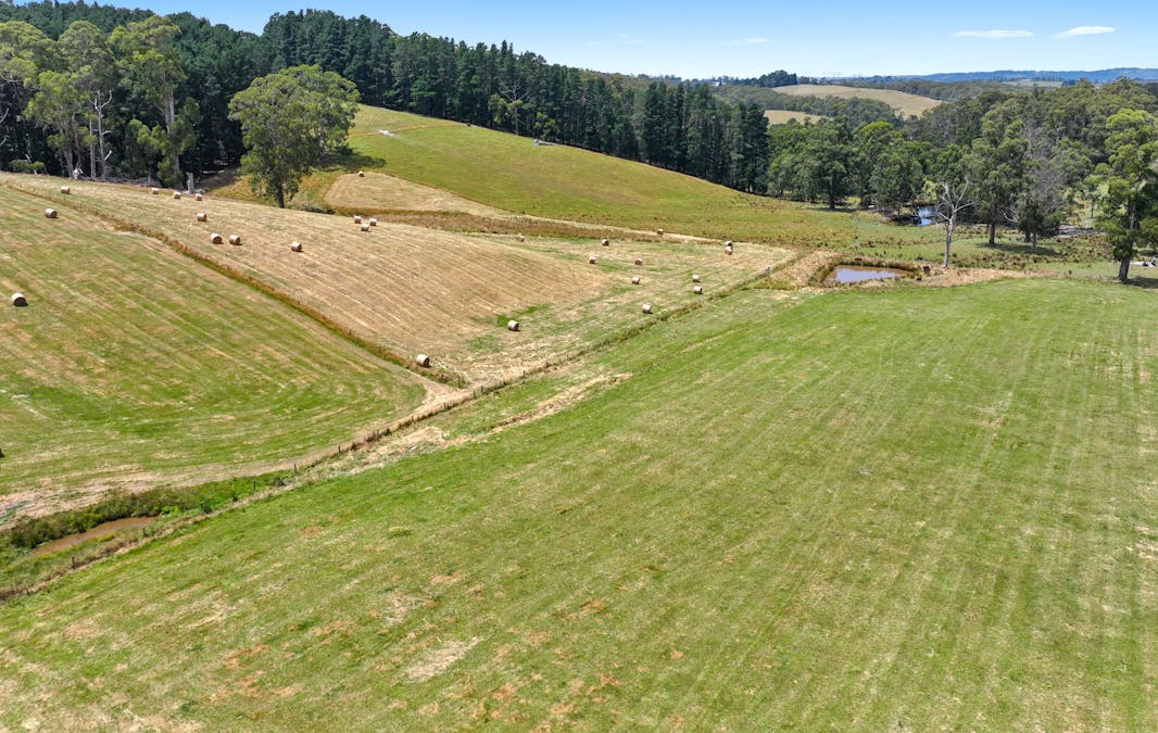 460 Old Telegraph Road, Crossover, VIC, 3821 - Image 3