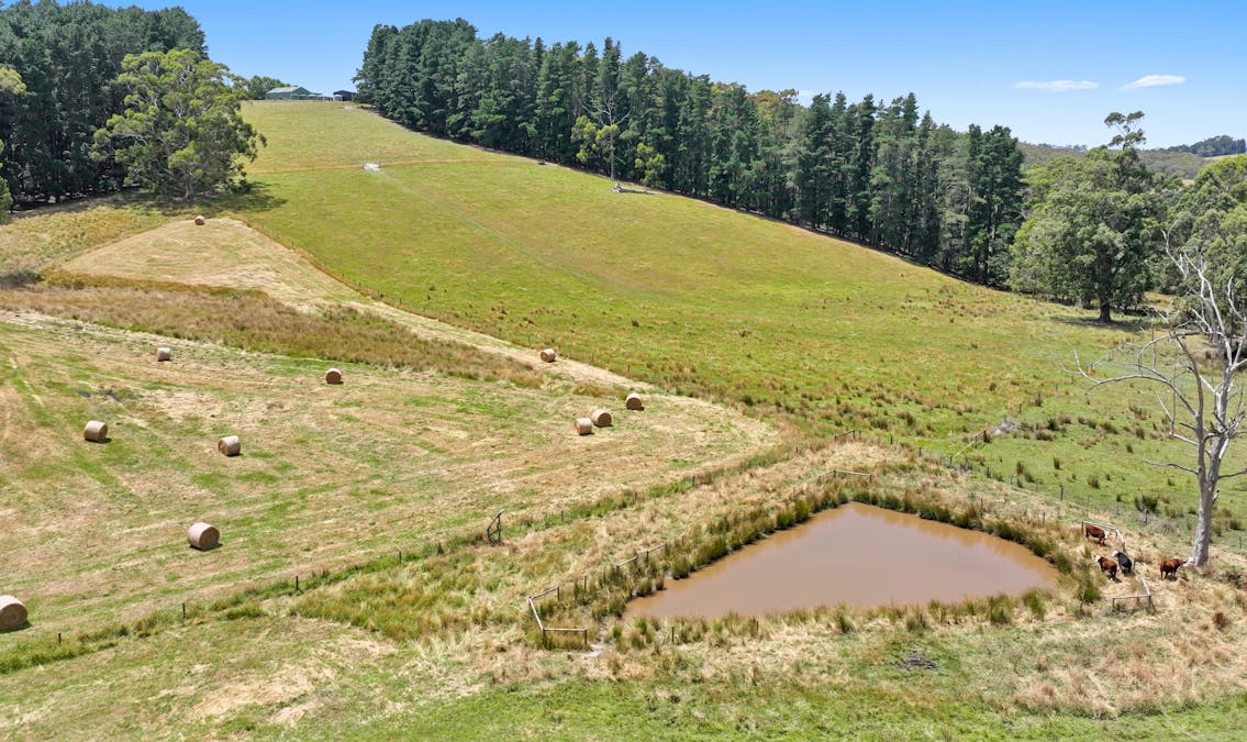 460 Old Telegraph Road, Crossover, VIC, 3821 - Image 8