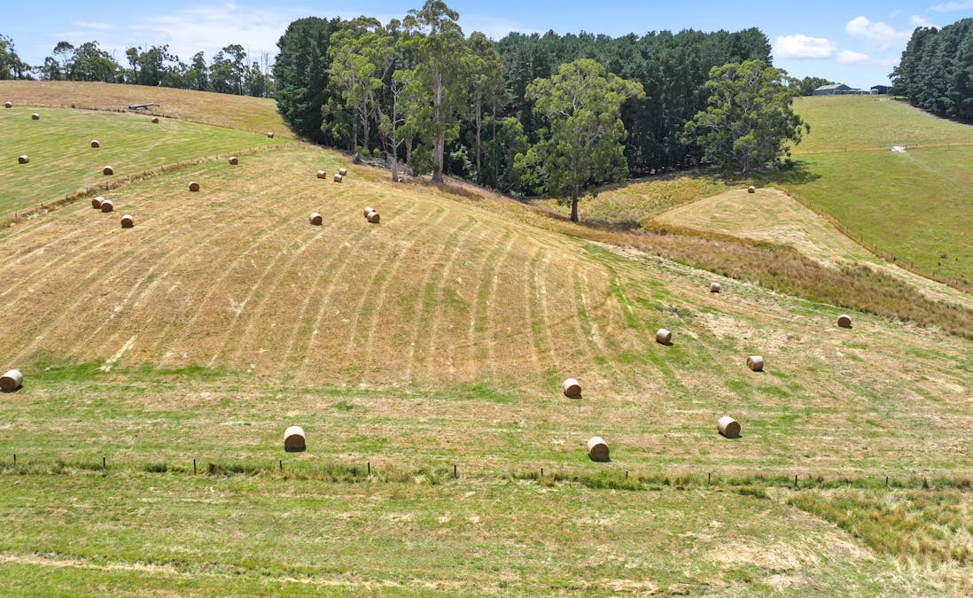 460 Old Telegraph Road, Crossover, VIC, 3821 - Image 9